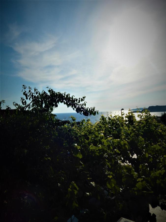 Vila Teodora Ilha Sveti Stefan Exterior foto